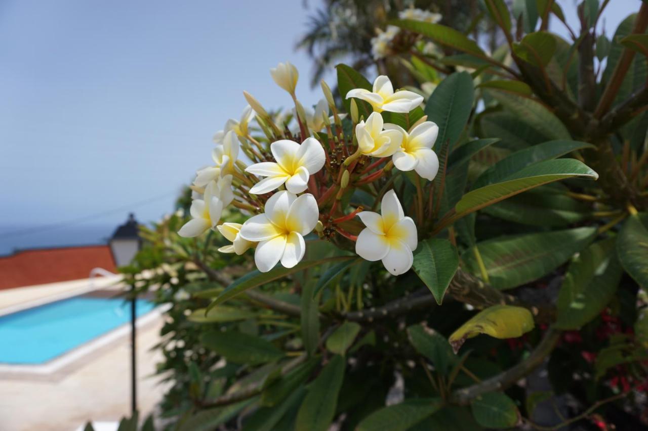 Finca La Romera 拉奥罗塔瓦 外观 照片